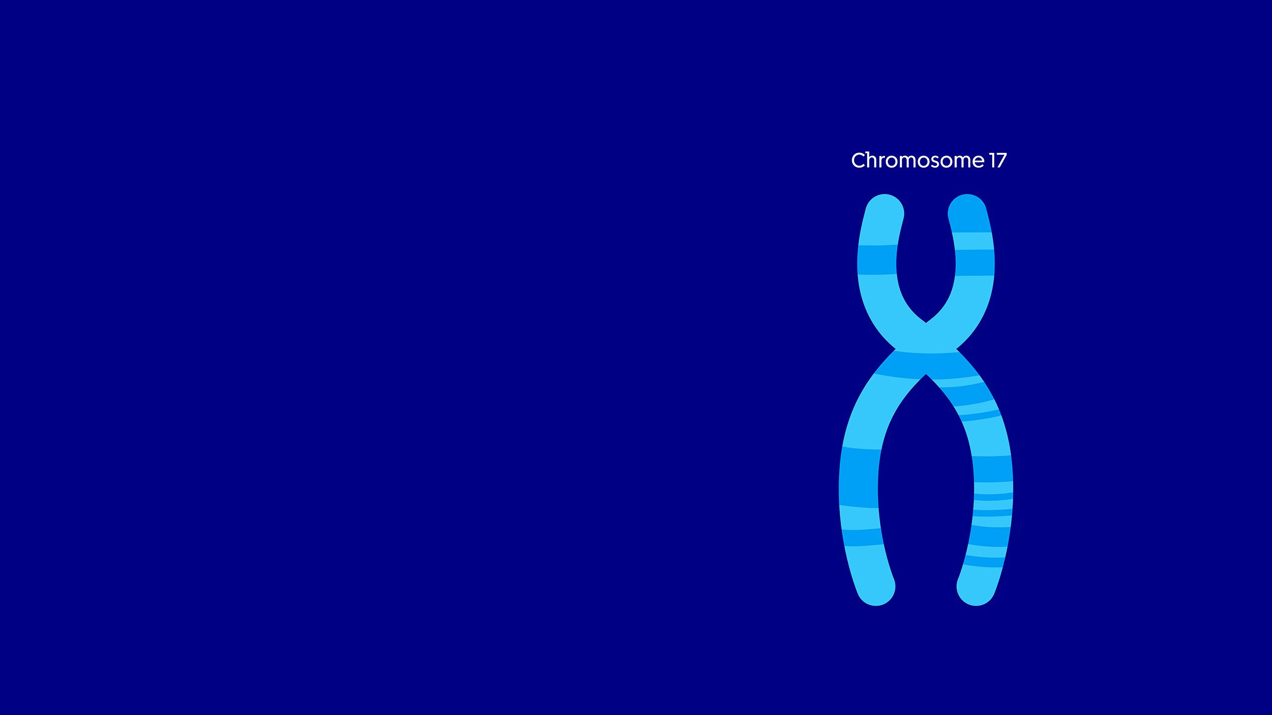 Diagram of Chromosome 17