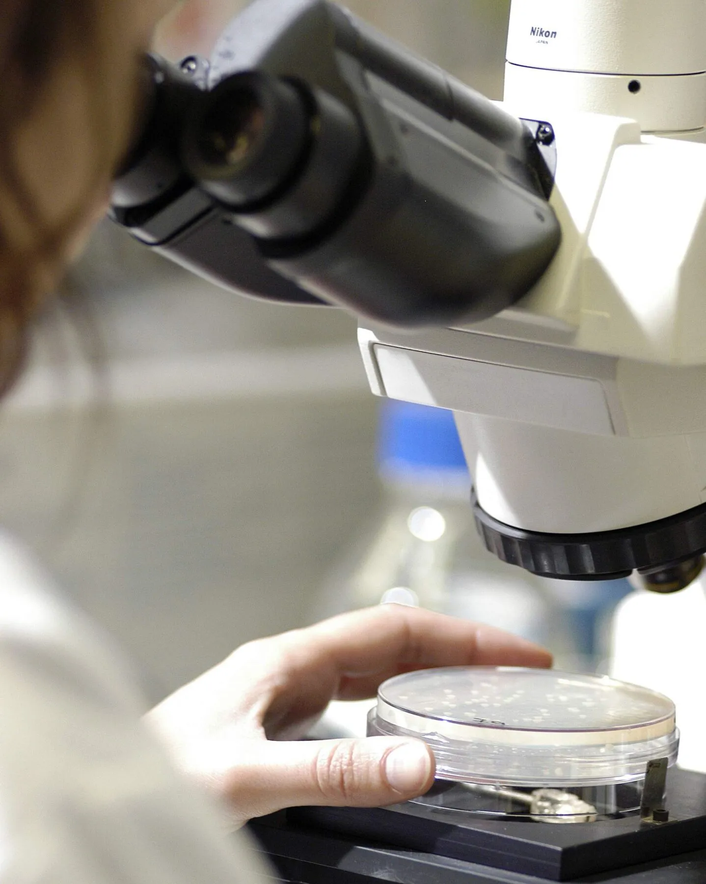 Researcher looking down a microscope