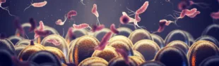 Helicobacter Pylori