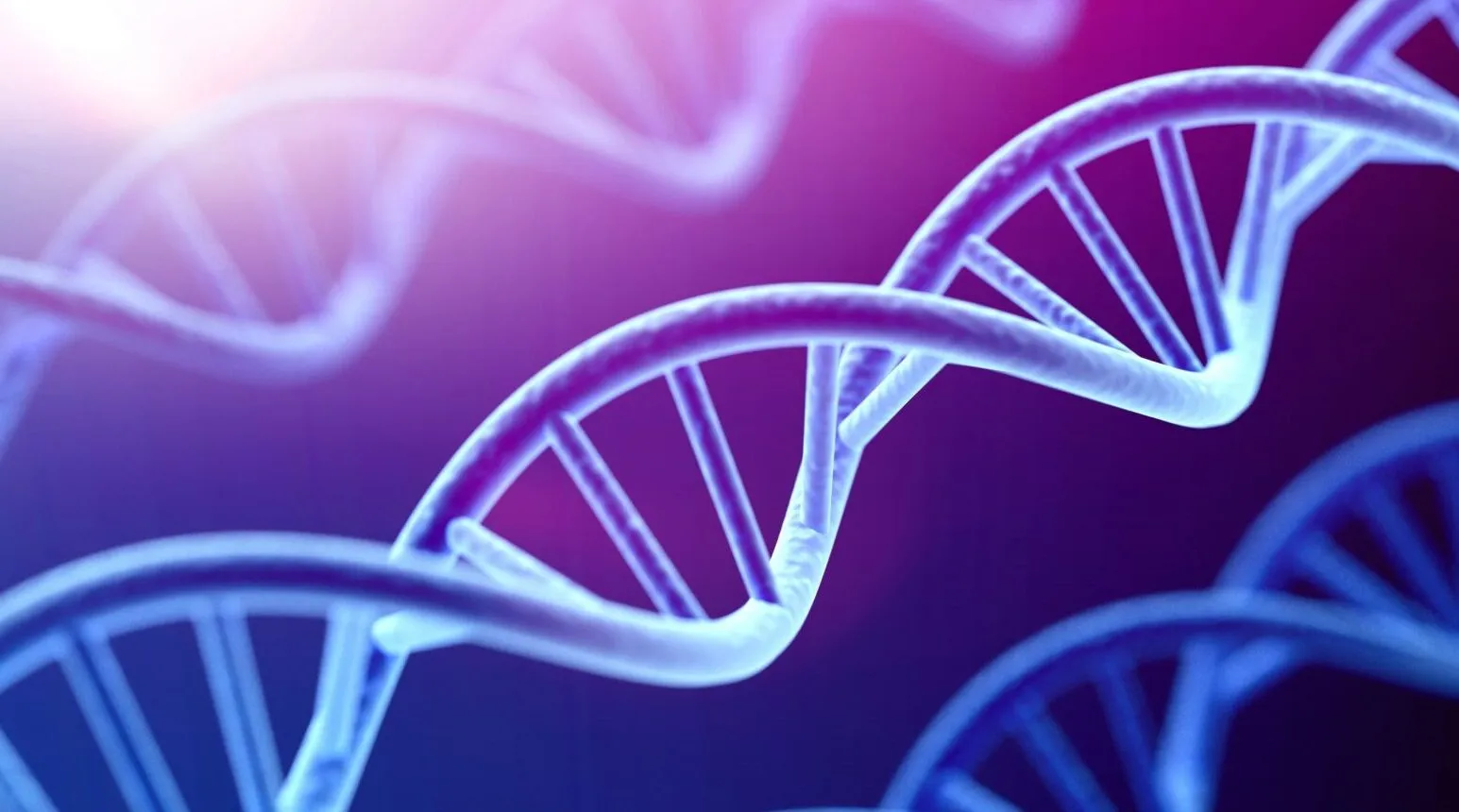 DNA