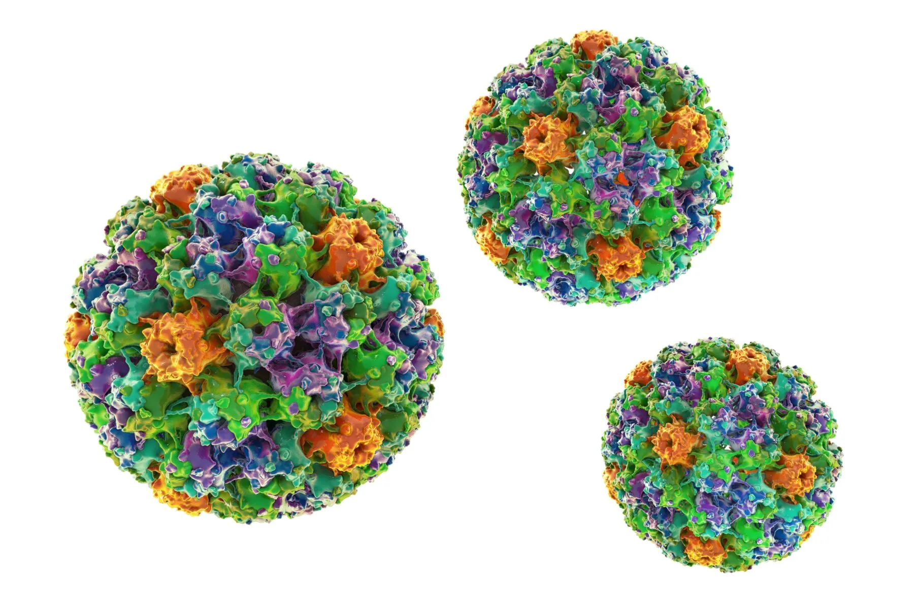 HPV VIRUS