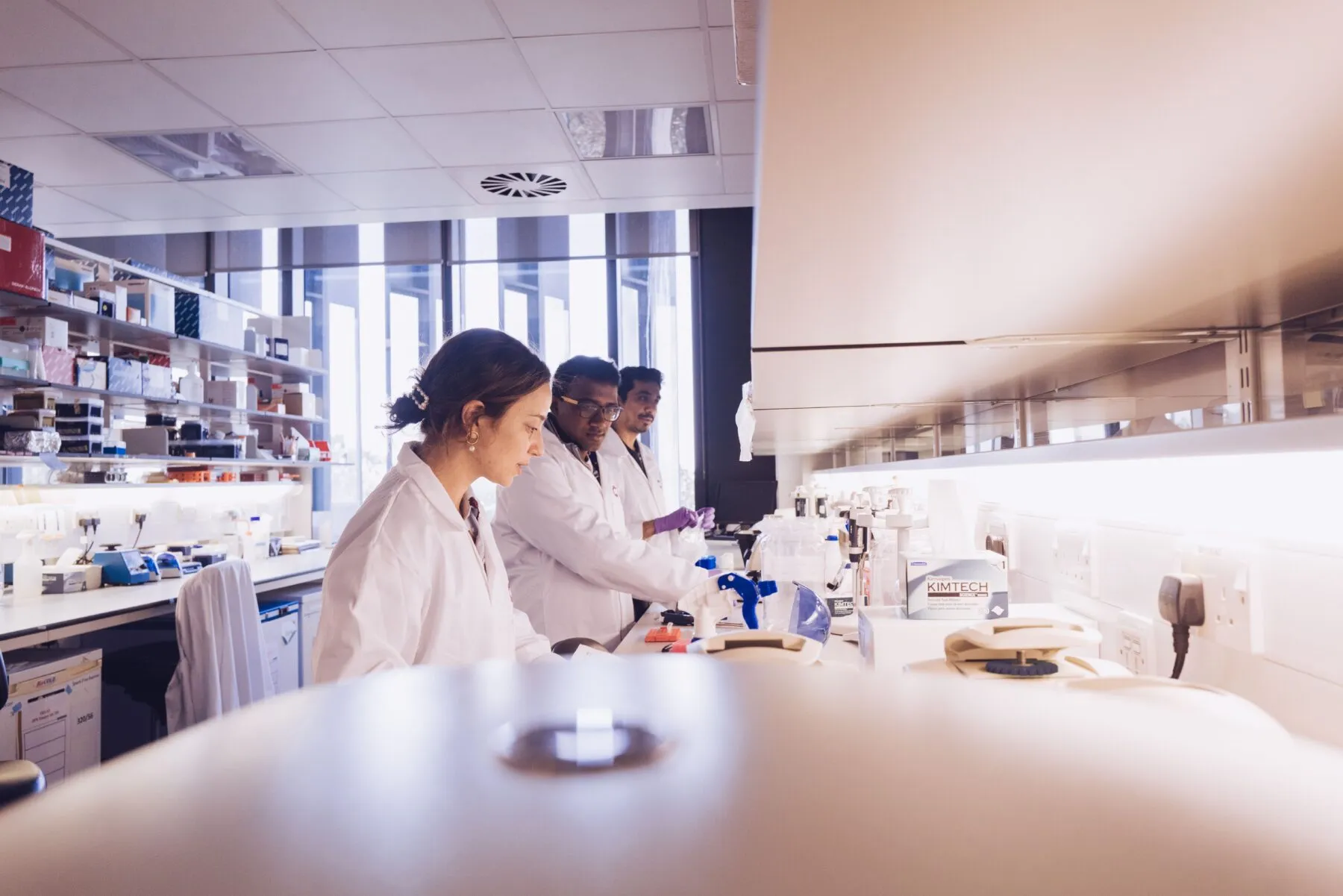 Three scientists working in a lab