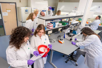 Groups of researchers carrying out different tasks around a lab bench.