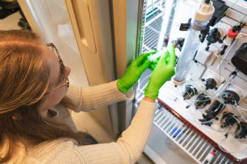 A woman in green rubber gloves moves biological samples in a fridge.