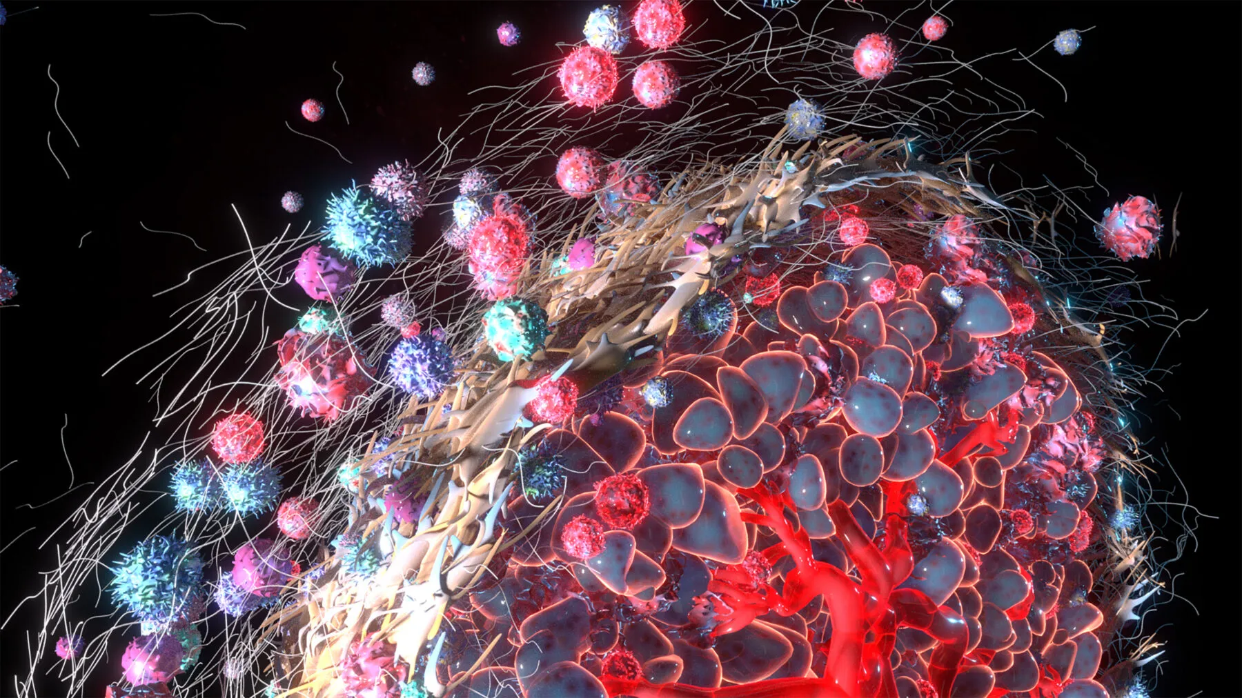 3d,Rendering,Of,Cancer,Associated,Fibroblast,Layer,Of,Tumor,Microenvironment